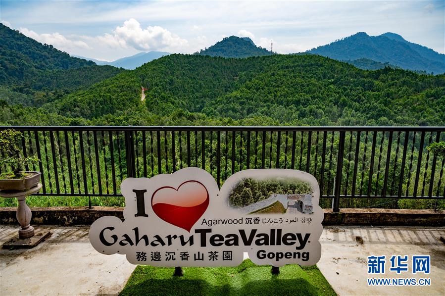 (第三屆進(jìn)博會(huì)·圖文互動(dòng))(11)專(zhuān)訪(fǎng):進(jìn)博會(huì)提供了一個(gè)共享中國(guó)發(fā)展機(jī)遇的平臺(tái)