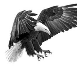 誰是世界秩序的真正破壞者？