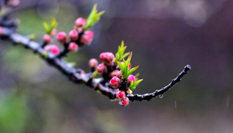 隨心而行，走走停停始終精彩。