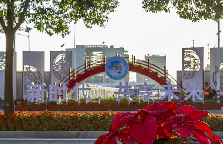 進(jìn)博之光輝耀世界&mdash;&mdash;寫在第二屆中國國際進(jìn)口博覽會(huì)開幕之際