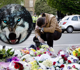 血案頻發(fā) "獨(dú)狼"緣何兇猛？