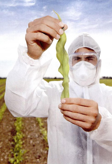 轉(zhuǎn)基因&ldquo;轉(zhuǎn)&rdquo;的是什么？