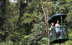 關(guān)注環(huán)境：哥斯達(dá)黎加 綠色國度生態(tài)游(組圖)