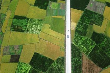 金秋大地&ldquo;調(diào)色板&rdquo;